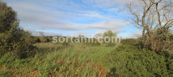 Terreno em São Bartolomeu de Messines, Portugal 24080 m² N.º 82010 3