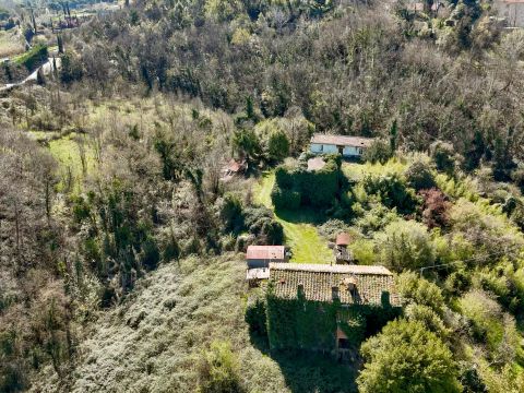 8 bedrooms House in Lucca, Italy No. 68401