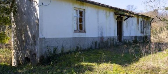 8 bedrooms House in Lucca, Italy No. 68401 6