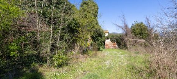 8 bedrooms House in Lucca, Italy No. 68401 24