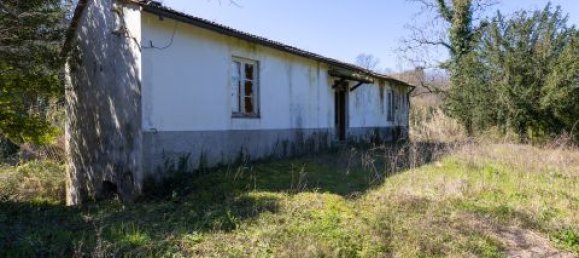 8 bedrooms House in Lucca, Italy No. 68401 8