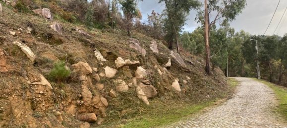  Land in Marco de Canaveses, Portugal No. 51808 15