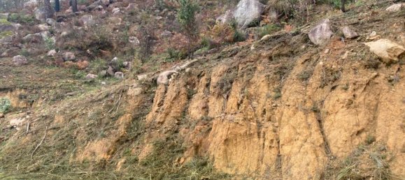  Land in Marco de Canaveses, Portugal No. 51808 19