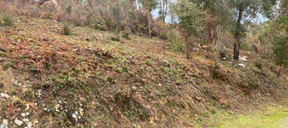  Land in Marco de Canaveses, Portugal No. 51808 4