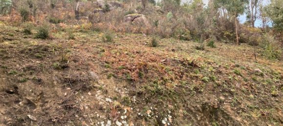  Land in Marco de Canaveses, Portugal No. 51808 2