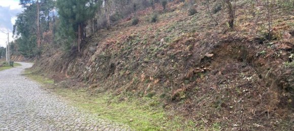  Land in Marco de Canaveses, Portugal No. 51808 7