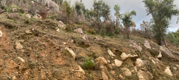  Land in Marco de Canaveses, Portugal No. 51808 17