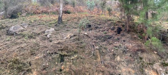  Land in Marco de Canaveses, Portugal No. 51808 5