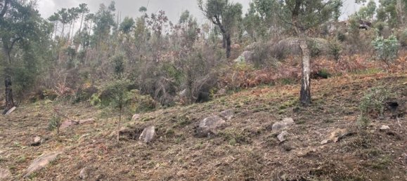  Land in Marco de Canaveses, Portugal No. 51808 6