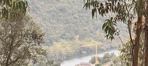  Land in Marco de Canaveses, Portugal No. 51808 11