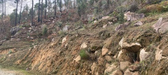  Land in Marco de Canaveses, Portugal No. 51808 20