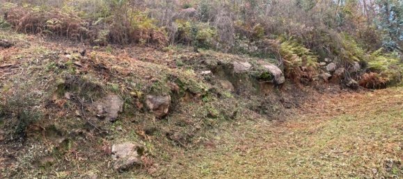  Land in Marco de Canaveses, Portugal No. 51808 3