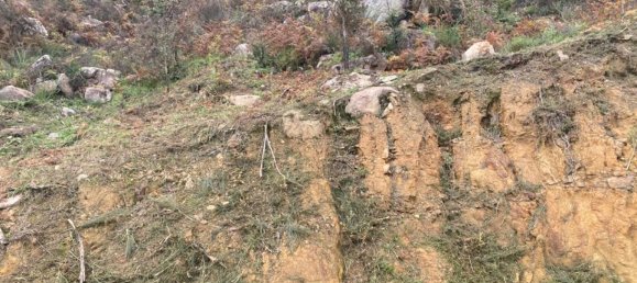  Land in Marco de Canaveses, Portugal No. 51808 14