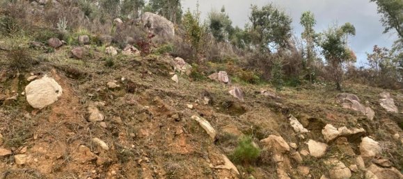  Land in Marco de Canaveses, Portugal No. 51808 16