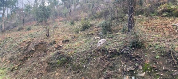  Land in Marco de Canaveses, Portugal No. 51808 8