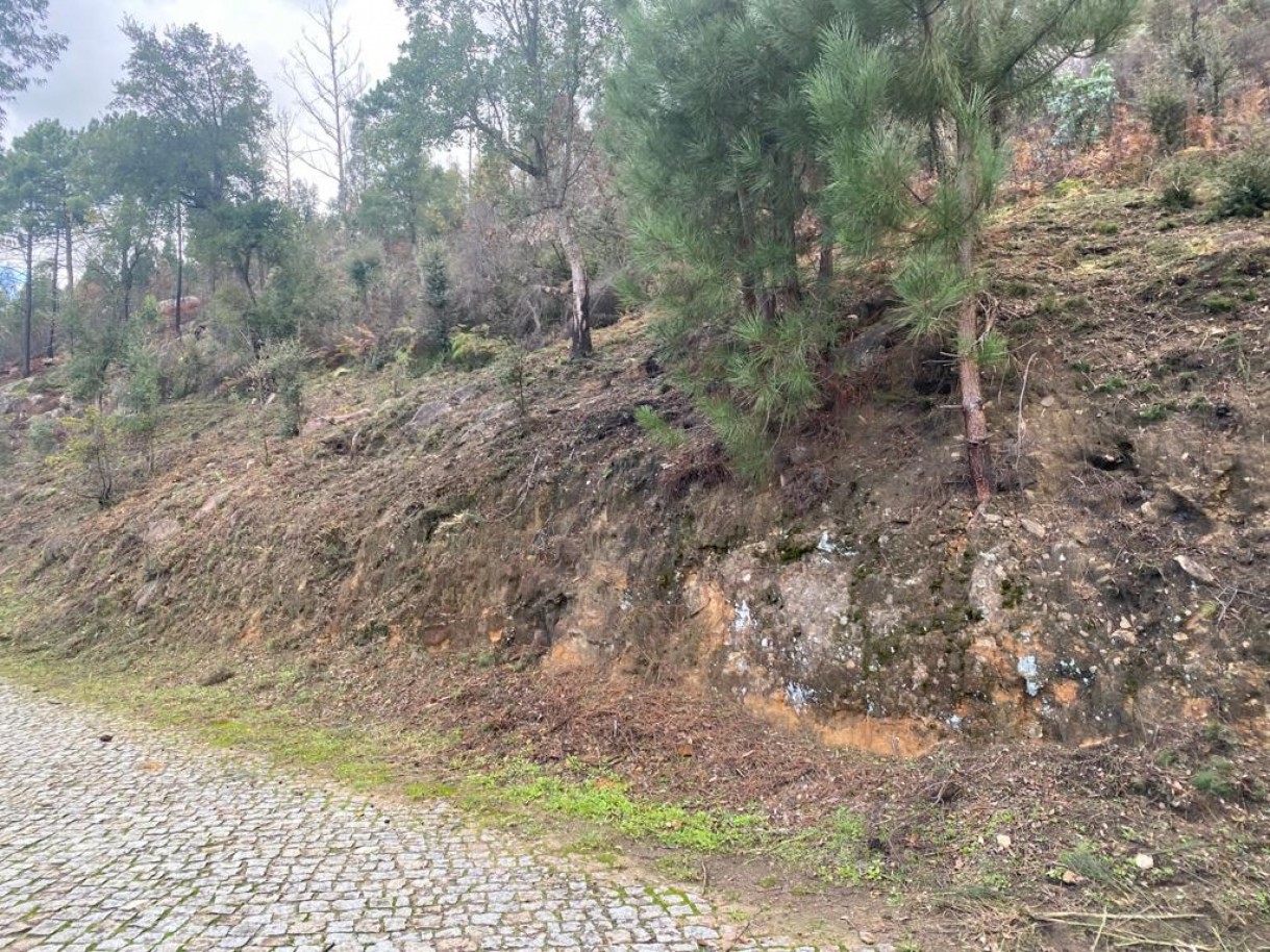  Land in Marco de Canaveses, Portugal No. 51808