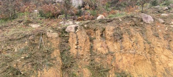  Land in Marco de Canaveses, Portugal No. 51808 12