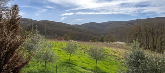 11 rooms House in Passignano sul Trasimeno, Italy No. 53685 47