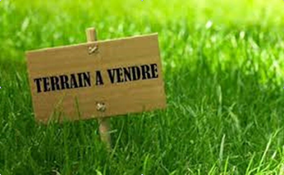  Land in Sandillon, France No. 238431