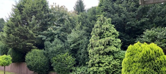 2 Schlafzimmer Wohnung in Mülheim an der Ruhr, Germany, Nr. 237022 4