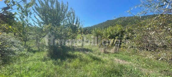 1 bedroom Villa in Segni, Italy No. 370270 12