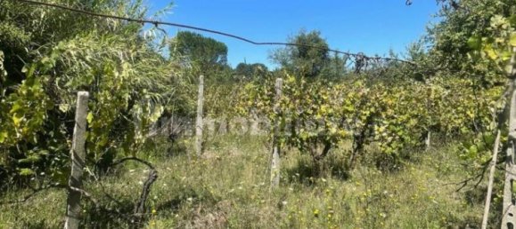 1 bedroom Villa in Segni, Italy No. 370270 7