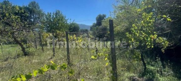 1 bedroom Villa in Segni, Italy No. 370270 10