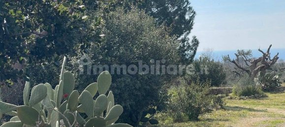 1 chambre Maison à Salve, Italy No. 59363 13