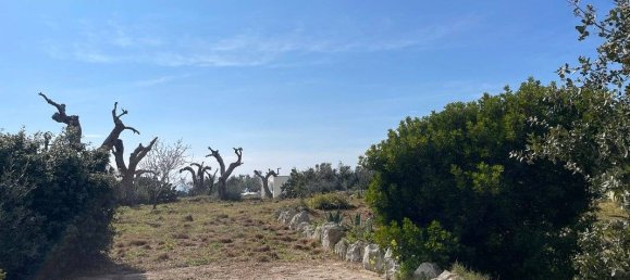 1 chambre Maison à Salve, Italy No. 59363 18