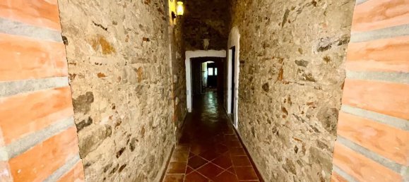 10 غرف نوم فيلا في Alter do Chao, Portugal رقم 138754 8