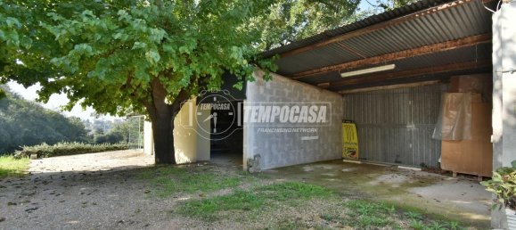 5-salle Appartement à Colmurano, Italy No. 5622 22