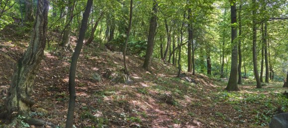 Terreno em Mandello del Lario, Italy 4480 m² N.º 85520 4