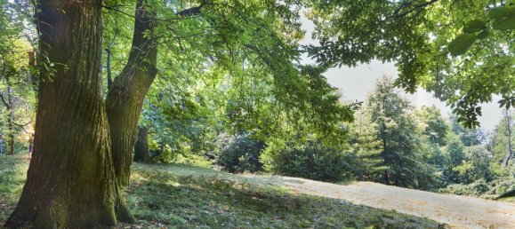 Terreno em Mandello del Lario, Italy 4480 m² N.º 85520 3