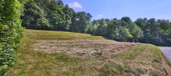 Terreno em Mandello del Lario, Italy 4480 m² N.º 85520 14