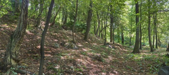 Terreno em Mandello del Lario, Italy 4480 m² N.º 85520 6