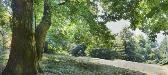 Terreno em Mandello del Lario, Italy 4480 m² N.º 85520 7