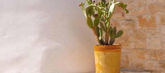 Casa de 8 habitaciónes en Ostuni, Italy No. 177867 7