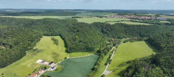 Terrain à Eichsfeld, Germany 24407m² No. 328141 4