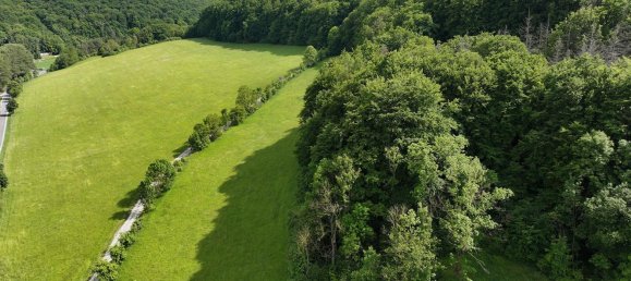 Terrain à Eichsfeld, Germany 24407m² No. 328141 5