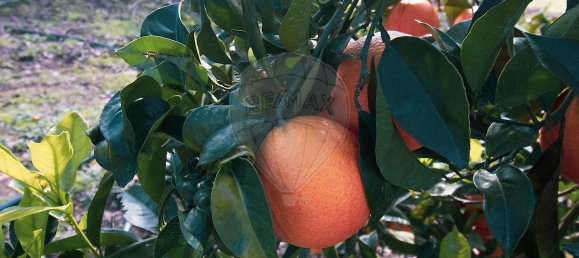 2 bedrooms House in Santa Marinha do Zezere, Portugal No. 22276 14