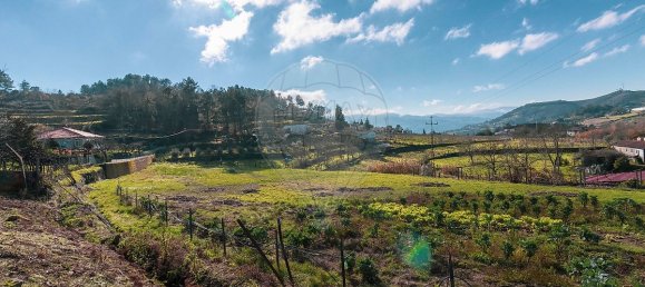 2 bedrooms House in Santa Marinha do Zezere, Portugal No. 22276 10