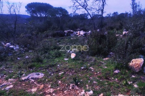 1000m² Land in Ansiao, Portugal No. 86052