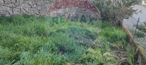 2 bedrooms House in Trancoso, Portugal No. 36091 13