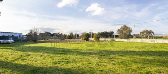 5 bedrooms House in Pinhal Novo, Portugal No. 107691 39