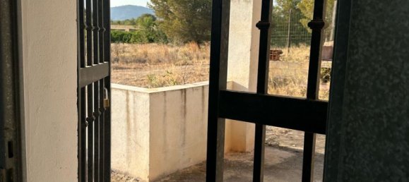 Land in Alzira, Spain No. 160924 14