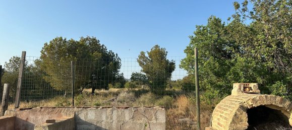 Land in Alzira, Spain No. 160924 17