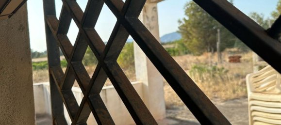 Land in Alzira, Spain No. 160924 19