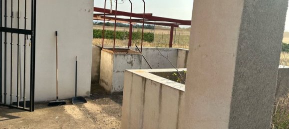 Land in Alzira, Spain No. 160924 13