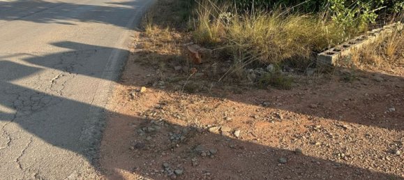 Land in Alzira, Spain No. 160924 5