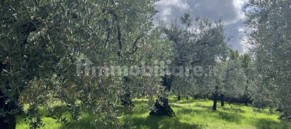 4 bedrooms House in Narni, Italy No. 50312 39